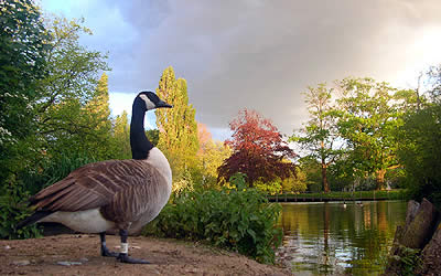 photos/pic10.jpg